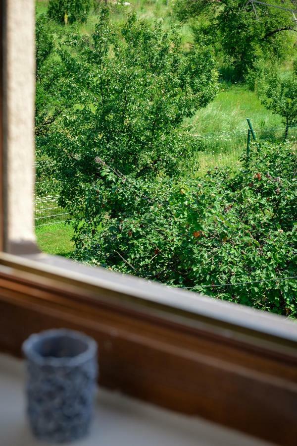 Apartman Filip Novi Pazar Exteriér fotografie